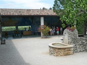 rhone-lavendel-museum