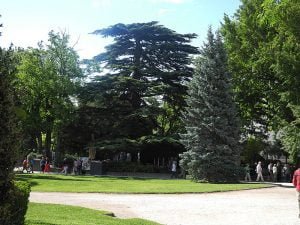 Rhone-Avignon Park