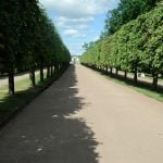 Petersburg-peterhof-2015