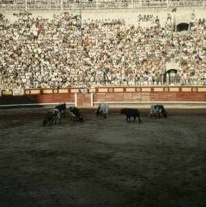 spanien-madrid-stierkampf 1977