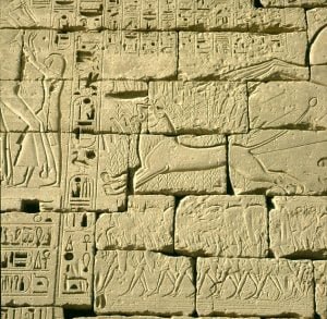 Totentempel-Medinet Habu Löwenjagd