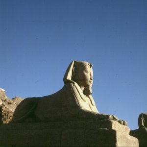 Luxortempel Sphinx 1777 Sockel ausgegraben