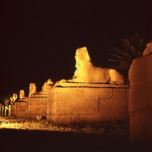 Ägypten Luxor Sphinx Allee Nacht