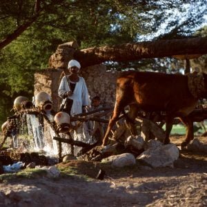 Ägypten Wasserrad mit Tonkrügen