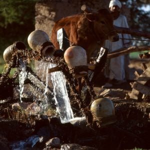 Ägypten Wasserrad mit Tonkrügen