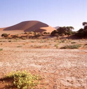 Südafrika 1987