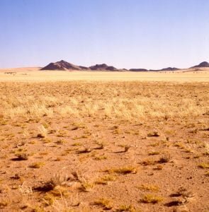 Südafrika 1987