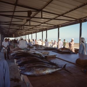 Oman Sohar Fischhalle 1989