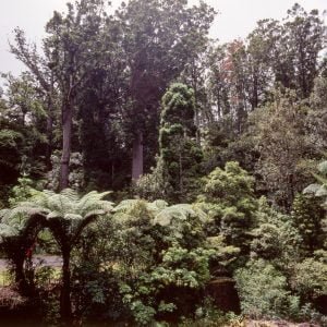 Neuseeland 2001
