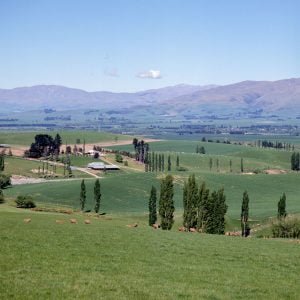 Neuseeland 2001